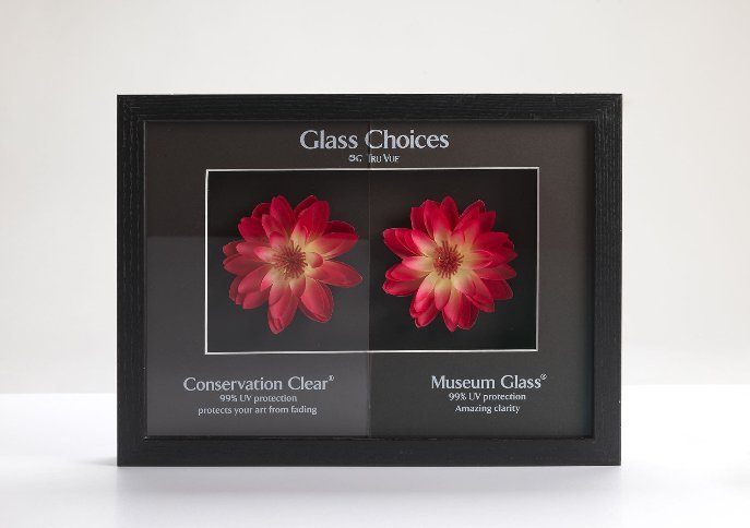 Muzejsko ali konzervatorsko